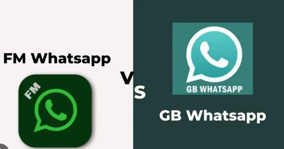 How FM WhatsApp Offers More Than Just Messaging